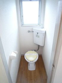 Toilet. Toilet there is a window