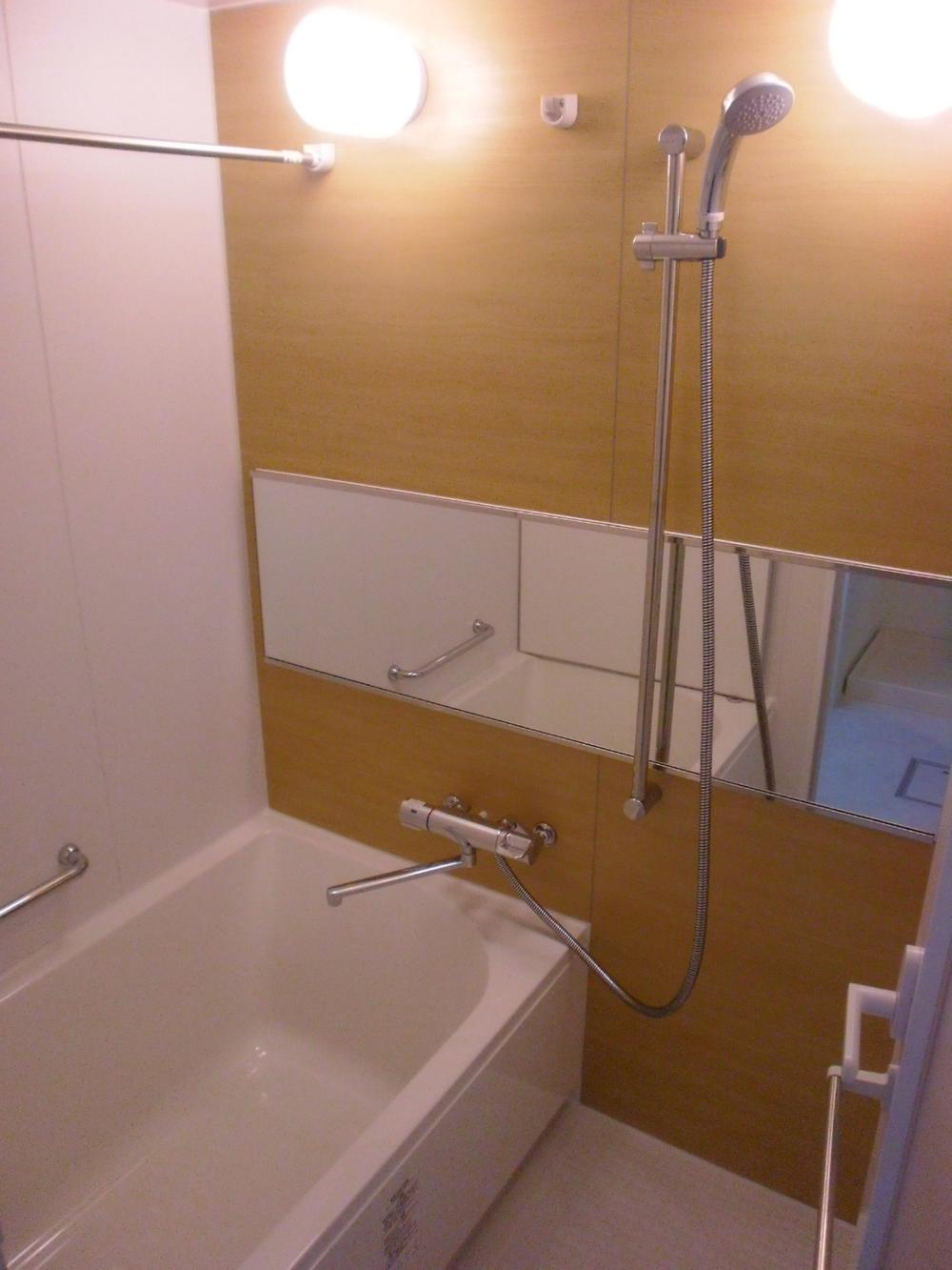 Bathroom. Indoor (11 May 2013) Shooting