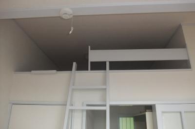Other room space. A storage capacity is a loft
