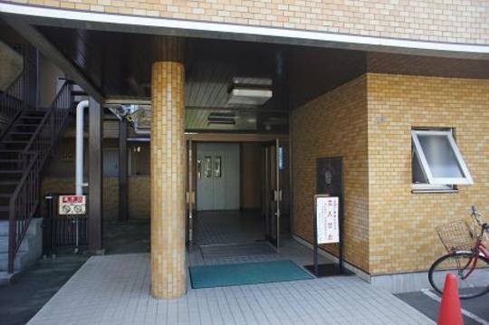 Entrance. Mansion entrance