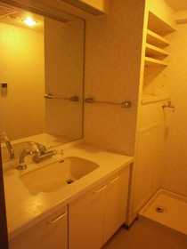 Washroom. Spacious washbasin