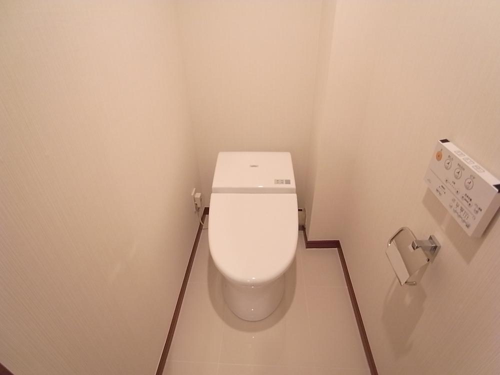 Toilet. Popular tankless type.