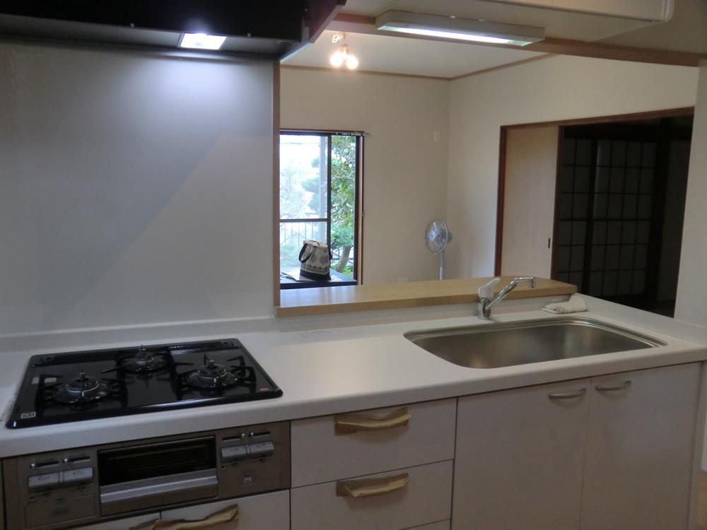 Kitchen. Indoor (10 May 2013) Shooting