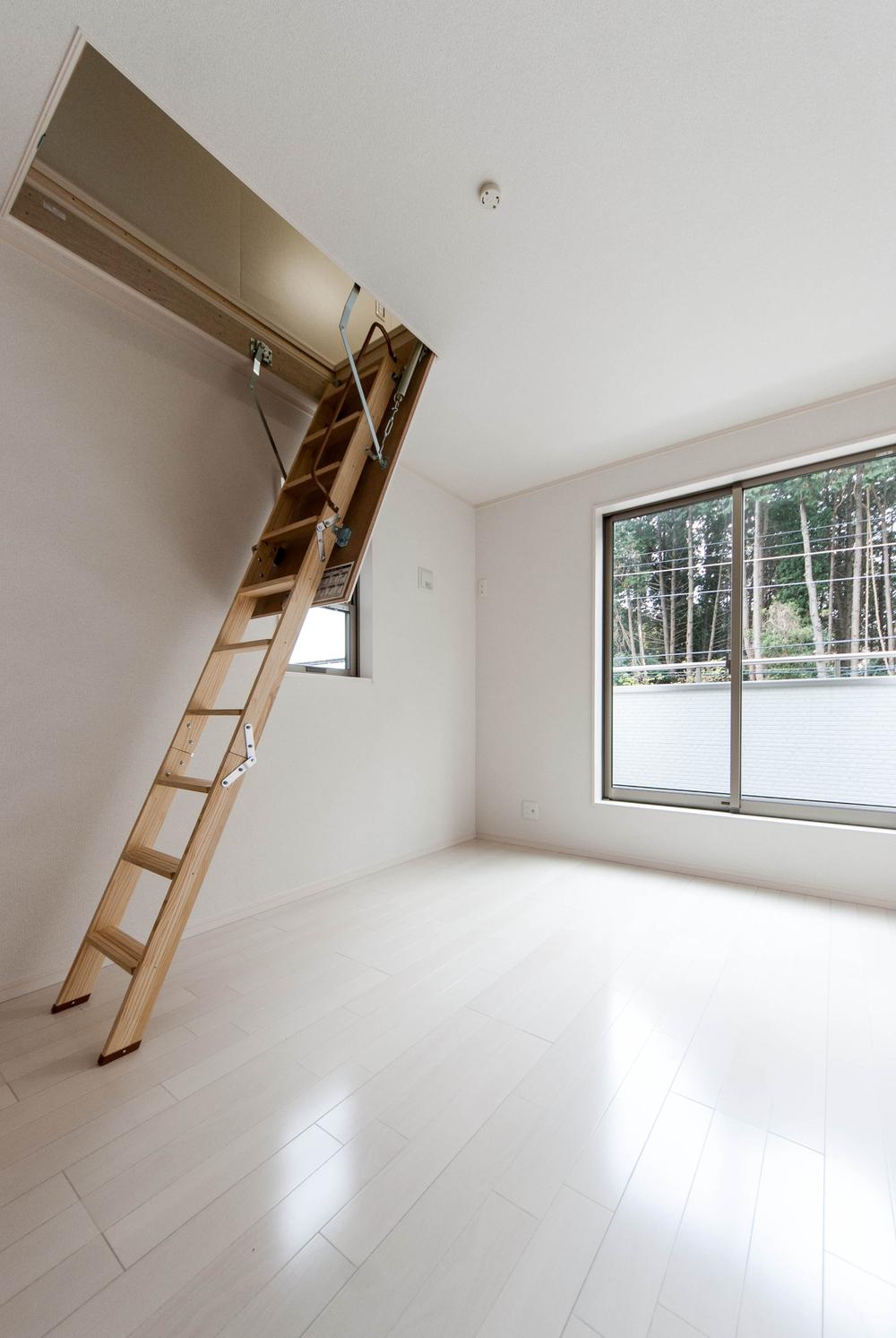 Non-living room. Attic with storage