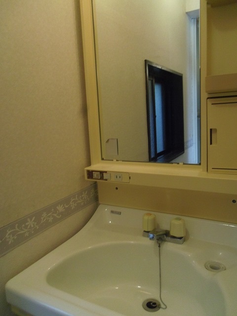 Washroom. Happy independence washbasin