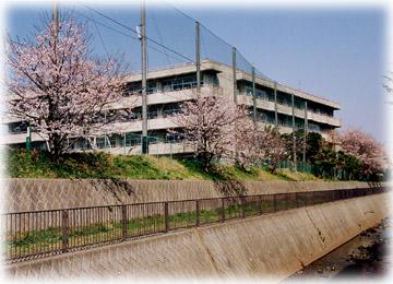 Junior high school. 770m to Yokohama Municipal Gumizawa junior high school