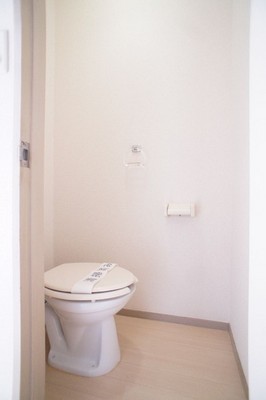 Toilet. Toilet with cleanliness