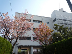 Primary school. 650m to Kawakami north elementary school (elementary school)