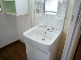 Washroom. Bathroom Vanity