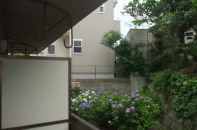 Balcony. Veranda