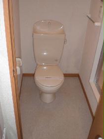 Toilet. Current state priority