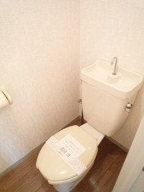 Toilet. Toilet