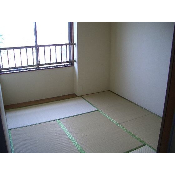 Living and room. Japanese-style room (1)