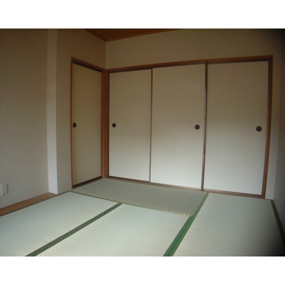 Living and room. Japanese-style room (2)