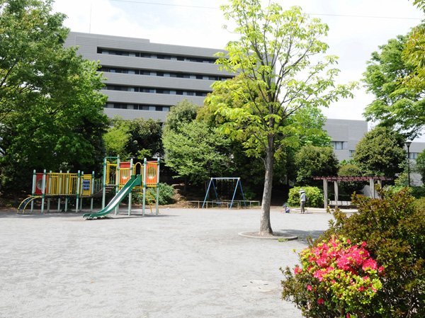 Surrounding environment. Shinano-cho park (about 270m / A 4-minute walk) also close from local, It is a park that you can walk willingly. Tool Ya is on the square, There is also a hill of moderate height difference, Children can play freely cheerfully.