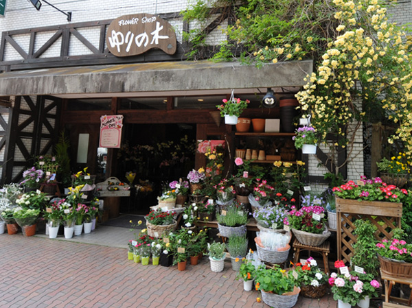 Surrounding environment. Flower shop & school lily of the tree (about 870m / Flower shop of 11 mins) Flower School offers. Cut flowers and potted plant is always 100 kinds of four seasons. Hana Also available in the store to be used during lessons.