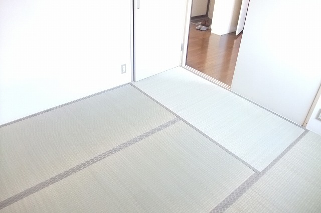 Other room space. Tatami is also beautiful