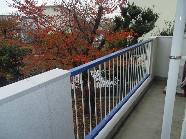 Balcony. Veranda