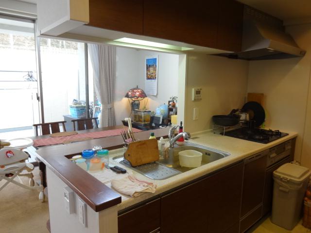 Kitchen. Face-to-face counter kitchen (dishwasher)