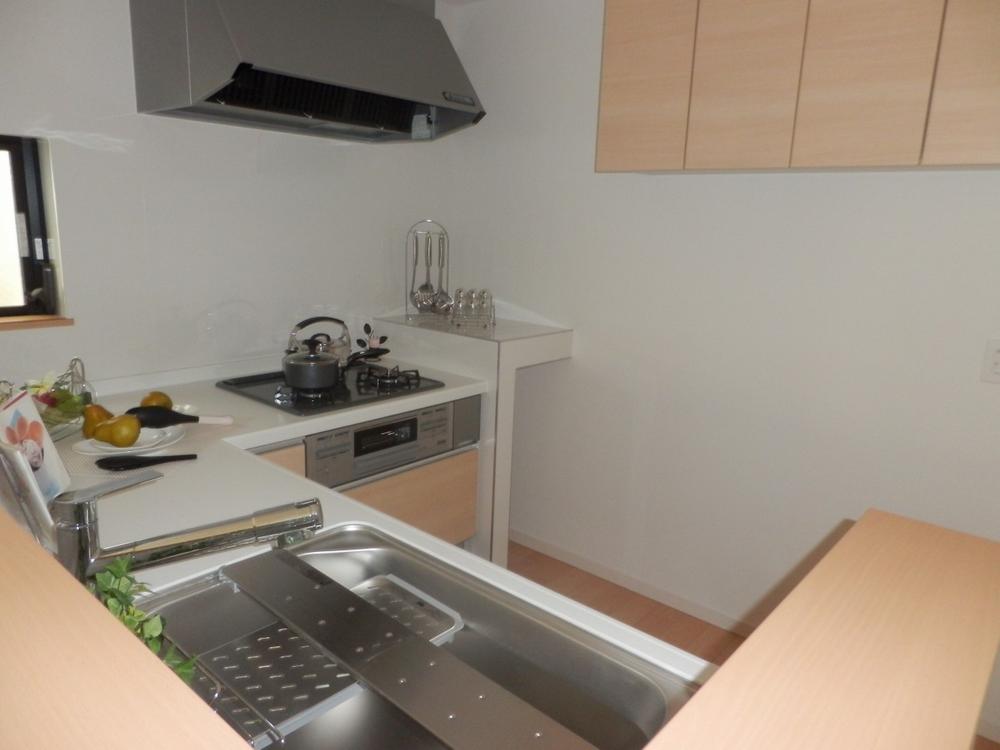 Kitchen. Indoor shooting (November 25, 2013) kitchen