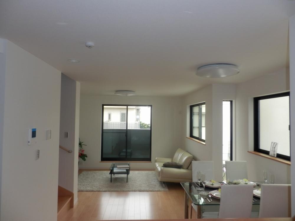 Living. Indoor shooting (November 25, 2013) living