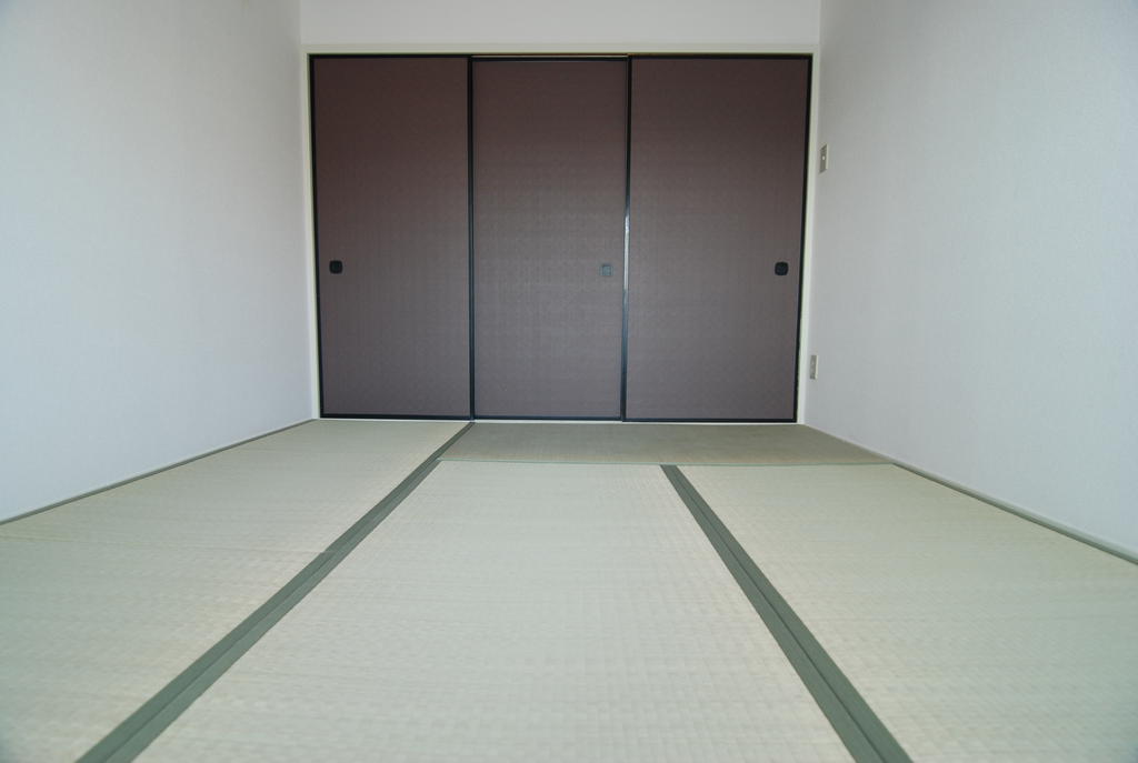 Other room space. Modern Japanese-style room