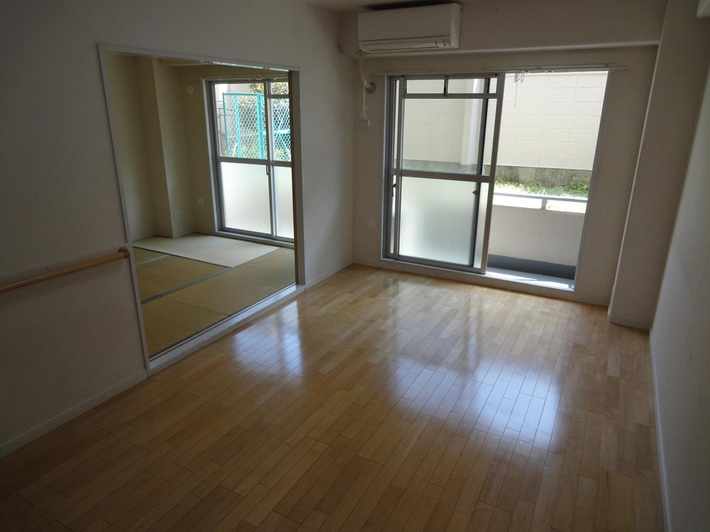 Living. South-facing bright indoor (April 2013) Shooting