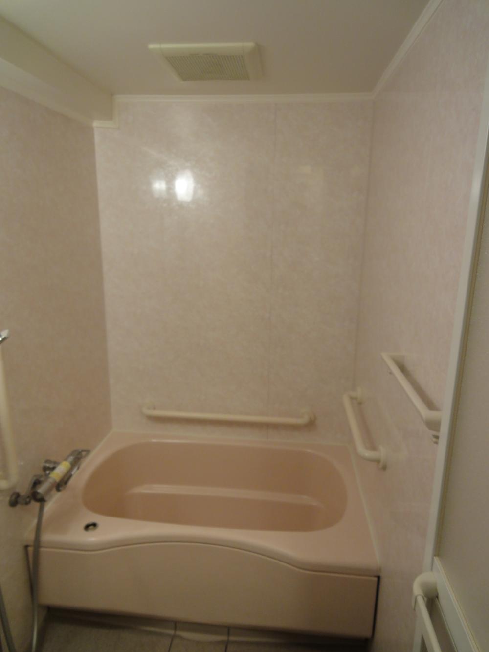 Bathroom. Indoor (10 May 2013) Shooting