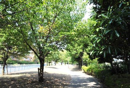 Other local. Namamugi Kainohama green space 3-minute walk