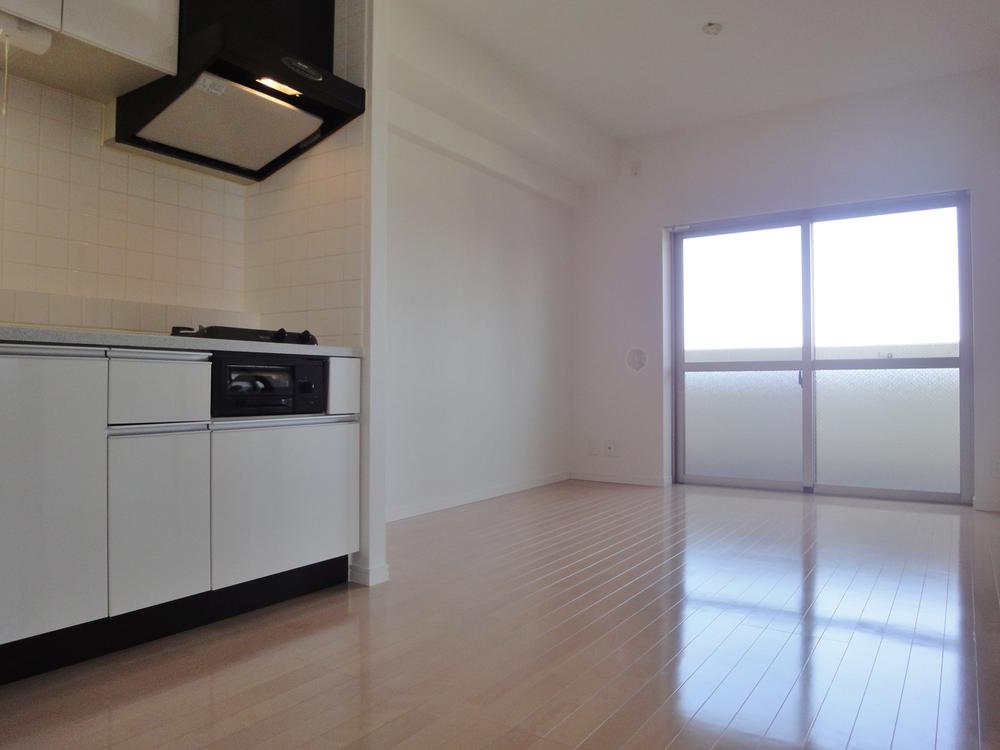 Kitchen. Indoor (12 May 2013) Shooting