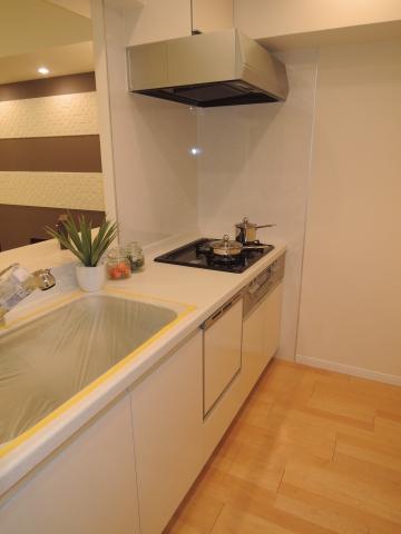 Kitchen. Dishwasher kitchen