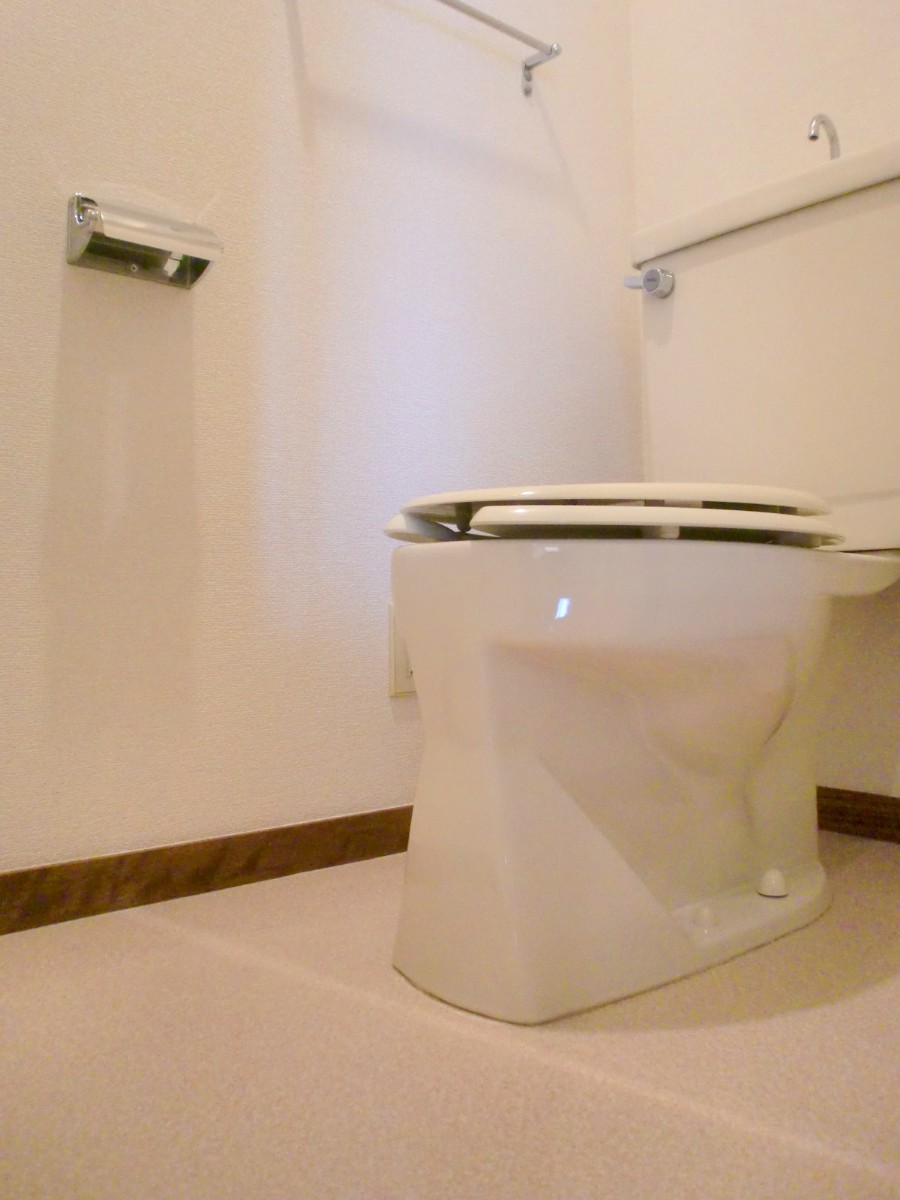 Toilet. Toilet