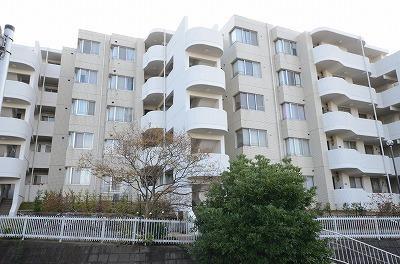 Local appearance photo. White appearance of re-planting shine