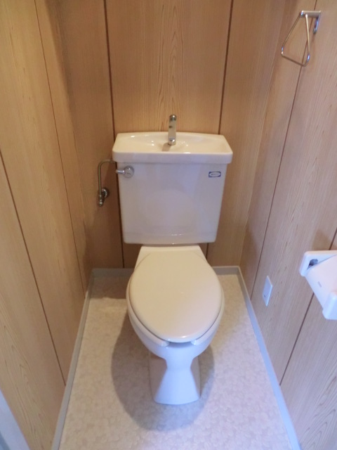 Toilet