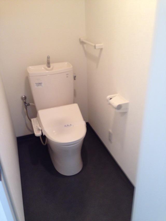 Toilet. Indoor (September 2013) Shooting