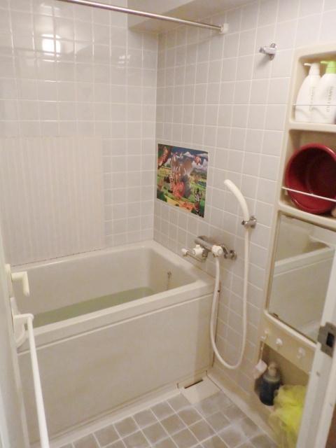 Bathroom. Indoor (10 May 2013) Shooting