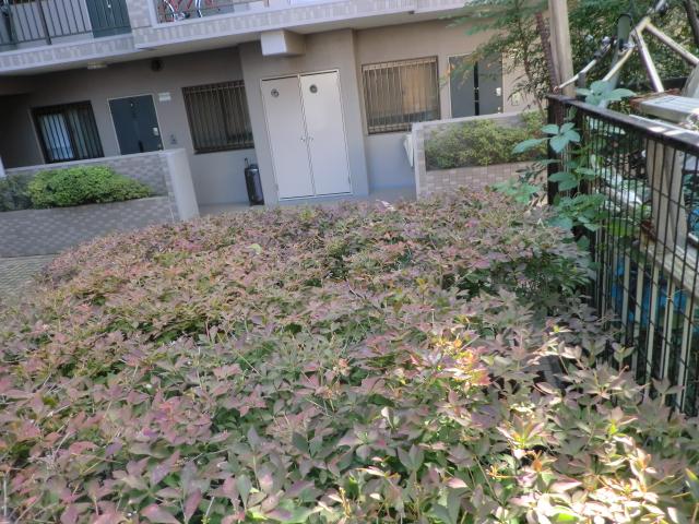 Other common areas. Common areas