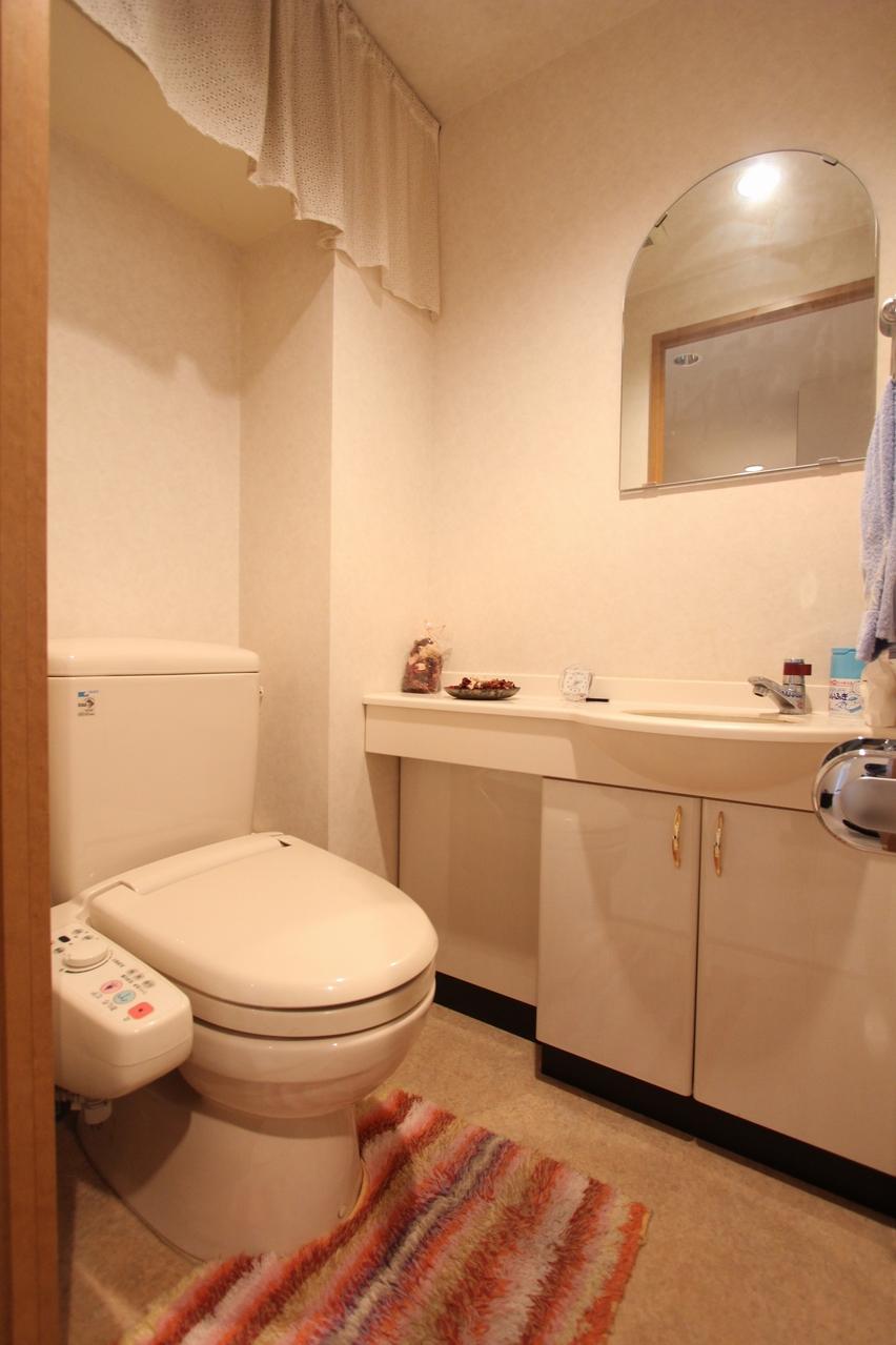 Toilet. Room (May 2013) Shooting