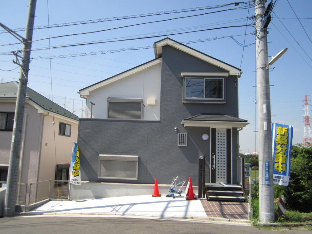 Local photos, including front road