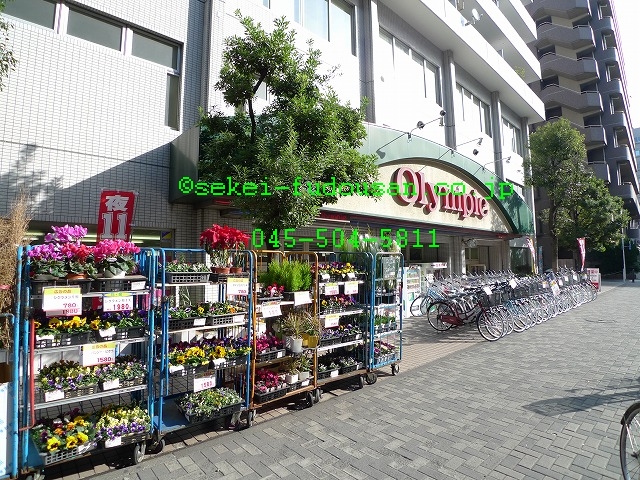 Home center. 180m to Olympic Tsurumi store (hardware store)