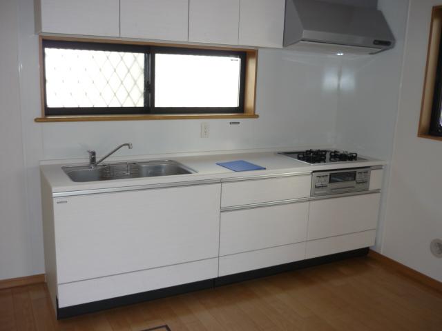 Kitchen. Indoor (12 May 2013) Shooting