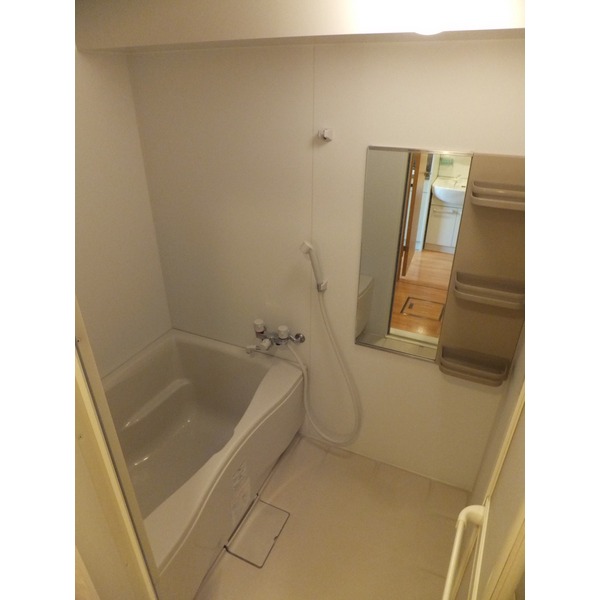 Bath. Clean bathroom