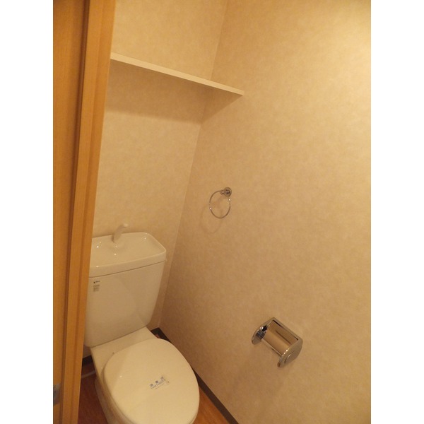 Toilet. There is a shelf on the toilet top