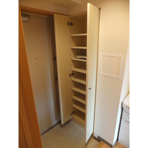 Entrance. Shoe box