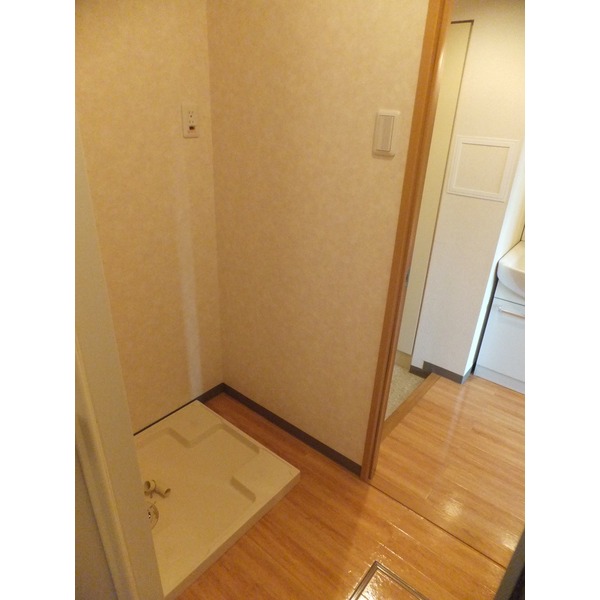 Washroom. Washing machine in the room