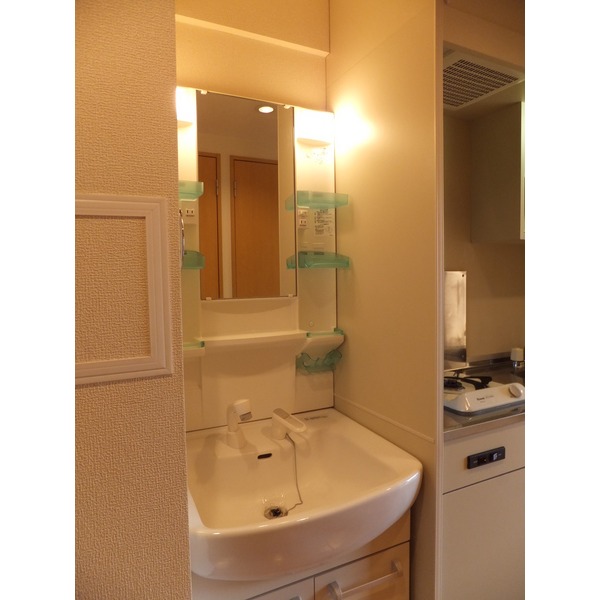 Washroom. Shampoo dresser