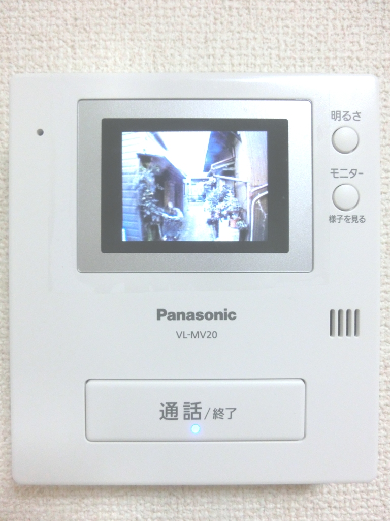 Security. Monitor with intercom