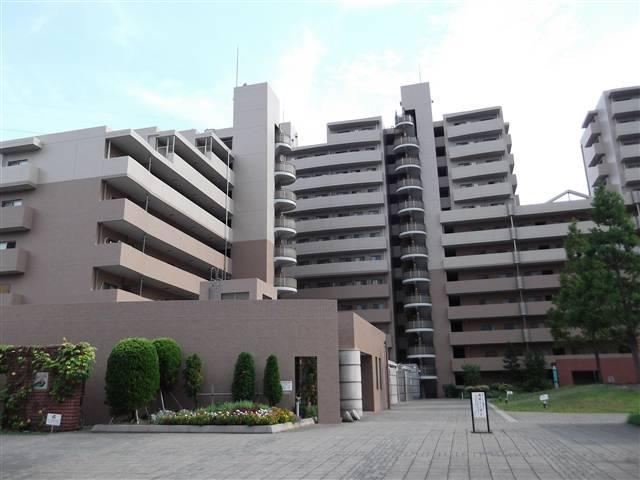 Local appearance photo. Stylish calm appearance!