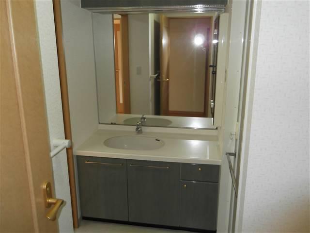 Wash basin, toilet. House cleaned!