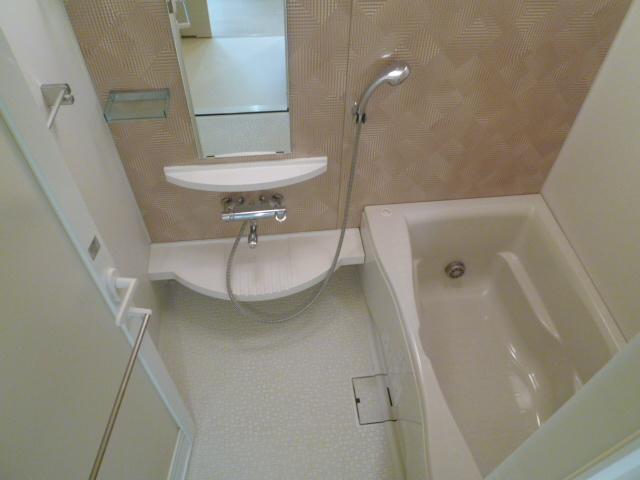 Bathroom. Indoor (10 May 2013) Shooting